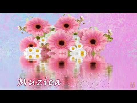 Ligia Bodea - Colaj cu muzica crestina pentru Dumnezeu