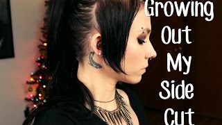 Growing out my Side Cut! | The Reason & Progress