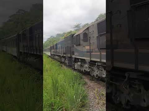 Trem turístico subindo a serra do mar Morretes/Curitiba, PR #loucoportrens #caminhada #Pedaladas