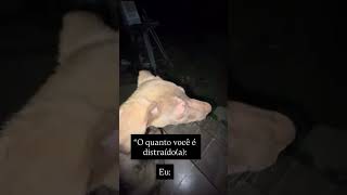 O quanto você é lerdo? Eu: