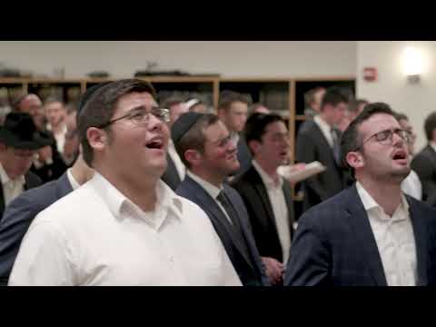 Yeshiva University and YU Torah