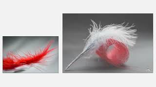 Et encore... photographies | Marie-Hélène Sigart