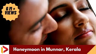 Honeymoon never sets at The Tall Trees, Munnar