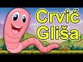 Crvić Gliša HIT PESMICA Za Decu Dečija Pesma O životinjama Muzika Za Bebe Crvic Glisa Worm