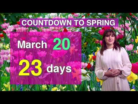 NewsLink Indiana Weather February 25, 2021-Vanessa Hintz