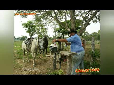El peón enamorado-Jorge Guerrero