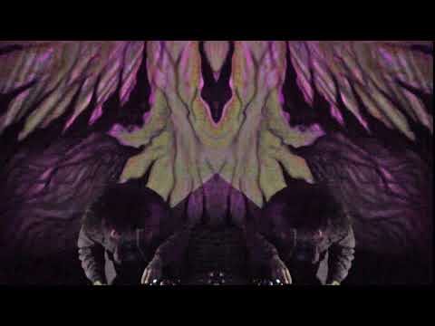 Saprotrophy Live (Anthropus & Chaostrophob)