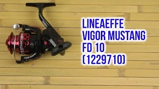 Lineaeffe Vigor Mustang FD - відео 1