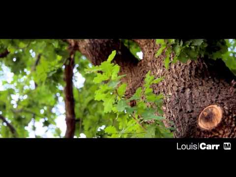 12 + 12a Swift Parrott Close - Louis Carr - Beaumont Hills