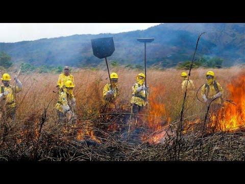 Curso Formação e Treinamento de Brigada de Incêndio Florestal - Rescaldo -  Cursos CPT