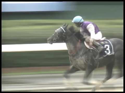 2017-06-17 Macau Meeting Race 5(0293) - THE CHARLOTTESVILLE