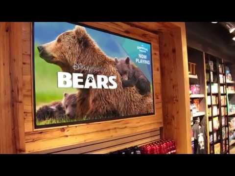 Planar ContentSmart Media Player Overview