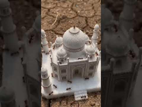 islamic video masallah #like #islamicstories #youtubeshorts  #islamicvideo #cute #allah