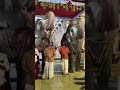 Srirangam Temple Elephant Andal And Lakshmi Praying God