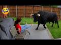 Try Not To Laugh Top 100 Funniest Videos Ever Memes Epic Fails Pranks Compilation 2026 Part 13