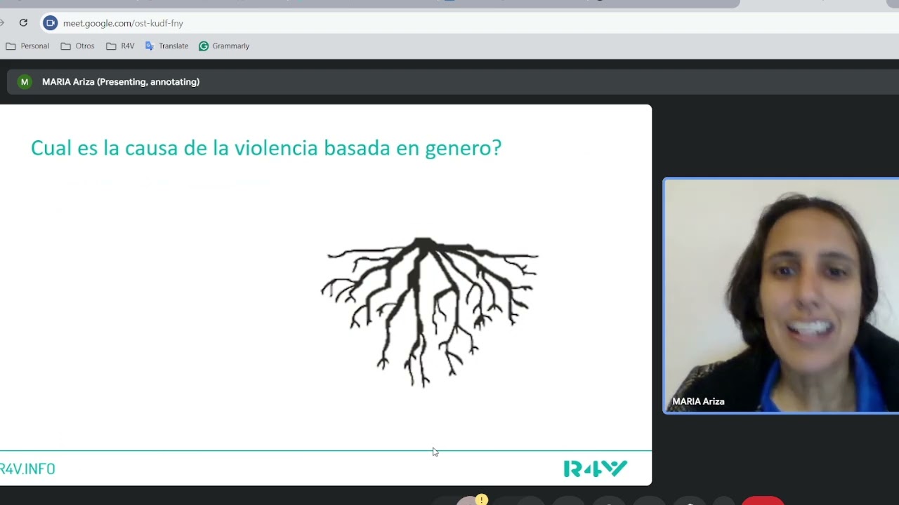 Recomendaciones del subsector de VBG de la Plataforma R4V para encuestadores en el campo.