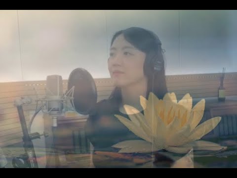 연꽃 만나고 가는 바람같이