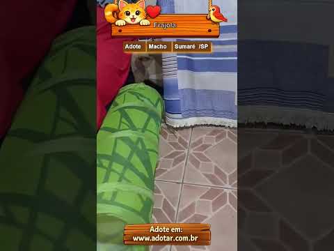 Vídeo de Frajola