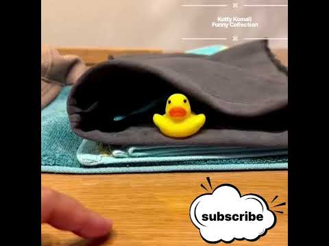 Funny cats and dogs 2023