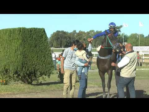 CARRERAS SINT PAYSANDU - 210916 c06 1° NOCHE DE REYES (BRZ)