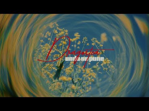 Larisa Pop- Dragostea-unde se pune