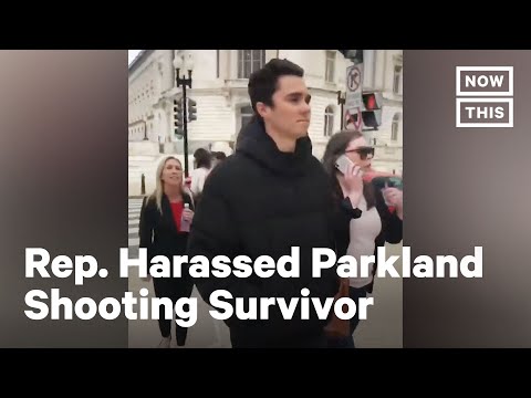Marjorie Taylor Greene Harassed Parkland Survivor David Hogg