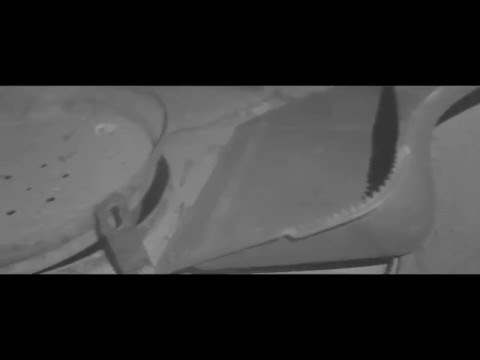 Juleez - Qualifikation 5