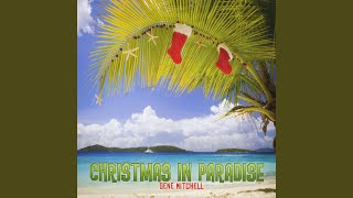 Christmas In Paradise