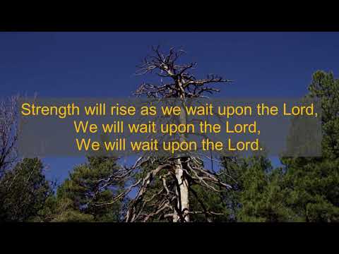 Strength Will Rise (Everlasting God) - live with lyrics - 1080p