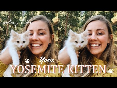 download lagu mp3 mp4 Kitty Courtney, download lagu Kitty Courtney gratis, unduh video klip Kitty Courtney