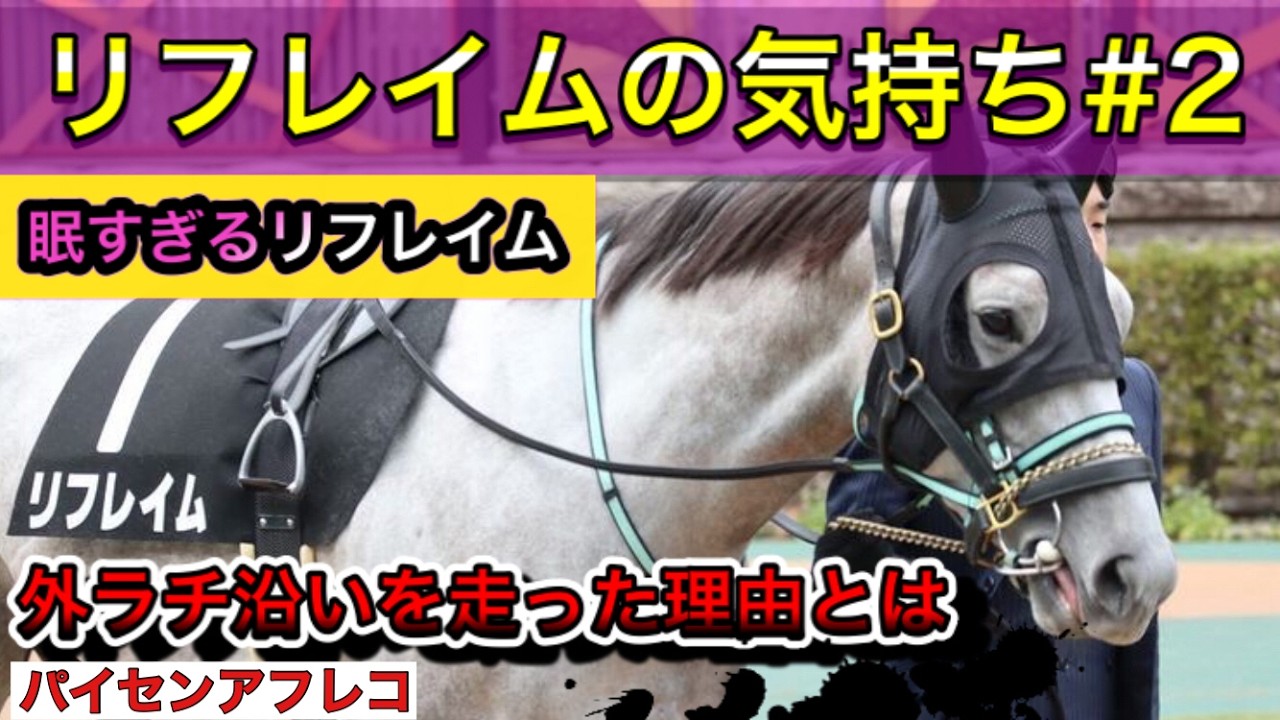 【馬の気持ちシリーズ】リフレイムの気持ち 第2弾 眠すぎるリフちゃん またまた外ラチ暴走