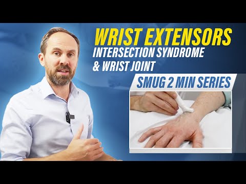 Wrist Extensors, Intersection Syndrome & Wrist joint - 2 min series MSKUS