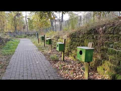 De Watersnip 1 Prikkelpad (Ook voor Rolstoelgebruikers) Koersel Beringen Wandelen Limburg