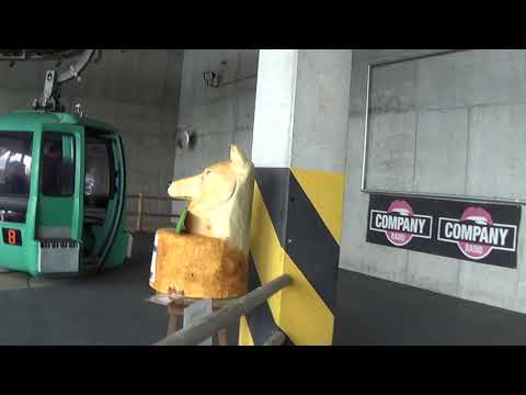 Discesa integrale cabinovia Leitner "Col Verde" - San Martino di Castrozza (TN) / Kabinenbahn