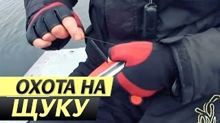 Наша рыбалка на щуку весной