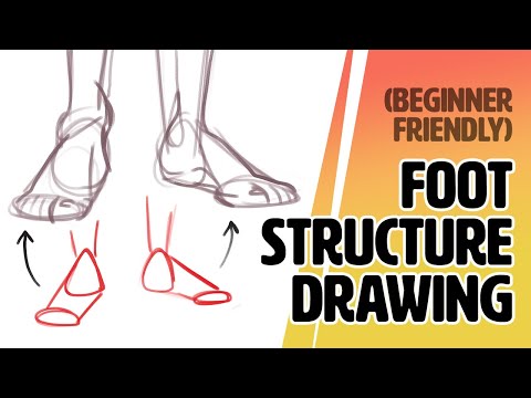 How to Draw the Foot (Basic Structure)