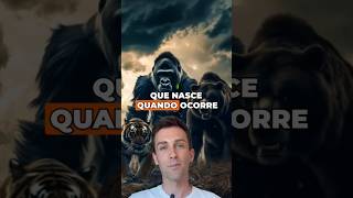Veja essa fusão tigre urso e gorila #animals #hibrido