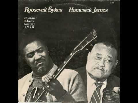 Roosevelt Sykes & Homesick James - Chicago Blues Festival 1970