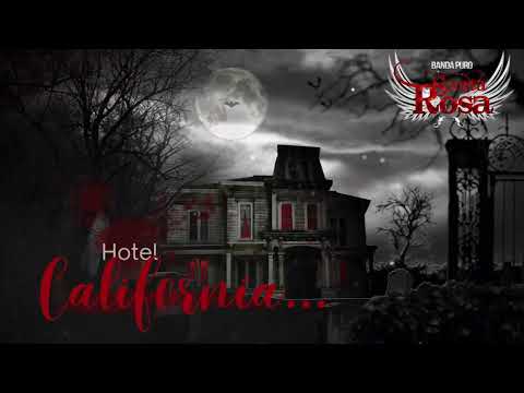HOTEL CALIFORNIA - BANDA PURO SANTA ROSA
