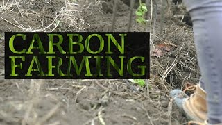 Carbon farming could fight climate change and produce more crops
