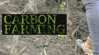 Carbon farming could fight climate change and produce more crops