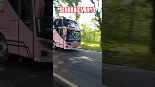 Download lagu SENDANG MULYO BERNYANYI #shorts #viral #busmania mp3 Download lagu SENDANG MULYO BERNYANYI #shorts #viral #busmania mp3