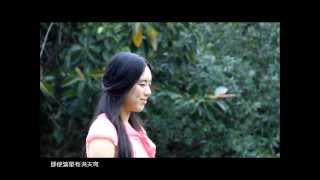 Raul Seixas em chinês (Água Viva - 圣水)