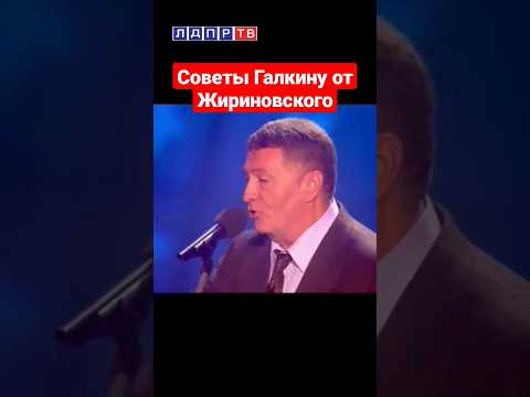 Нужно было слушать Владимира Вольфовича! #жириновский #галкин #жириновскийпророк