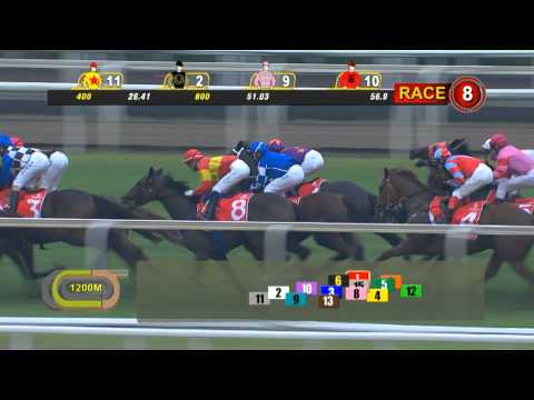 Emirates Singapore Derby 2015 (Quechua)
