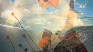 Good Morning - Chris Rea