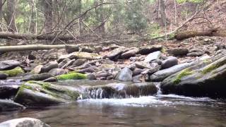 Mark Holder - Psalm 5