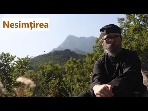 Nesimțirea - p. Teologos