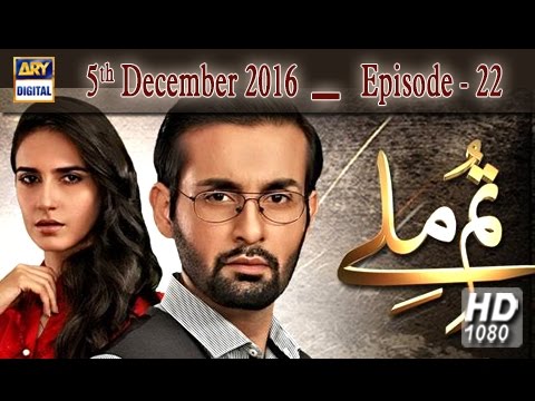 Tum Milay Ep 22 - 5th December 2016 - ARY Digital Drama