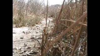 A Glimpse of Reality